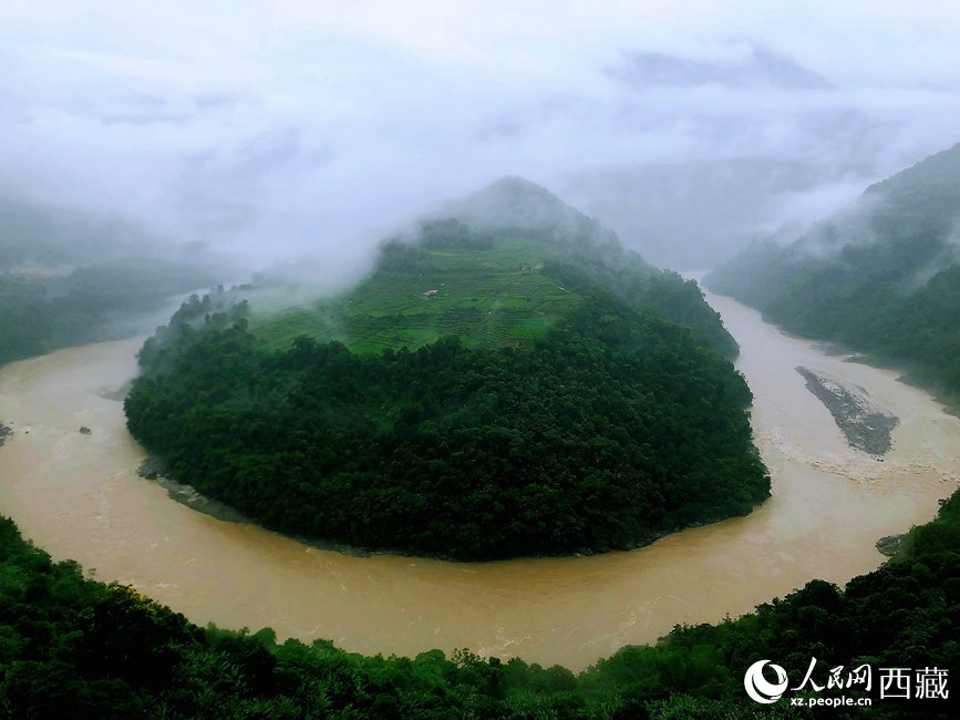 雅魯藏布江大峽谷蛇形拐彎處，山坡上種滿茶樹。