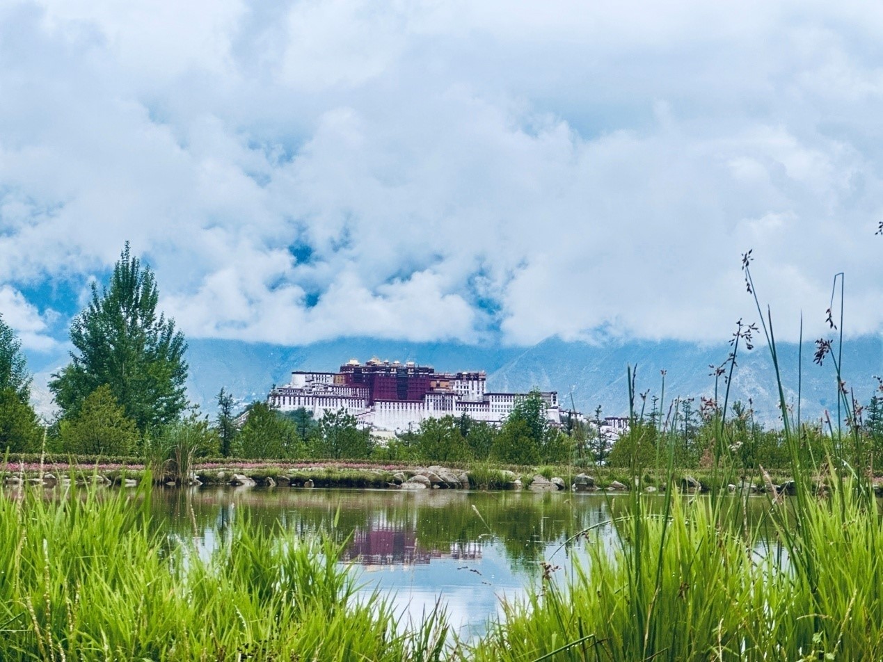 在南山公園遠(yuǎn)眺布達(dá)拉宮。人民網(wǎng)記者 益西康珠攝
