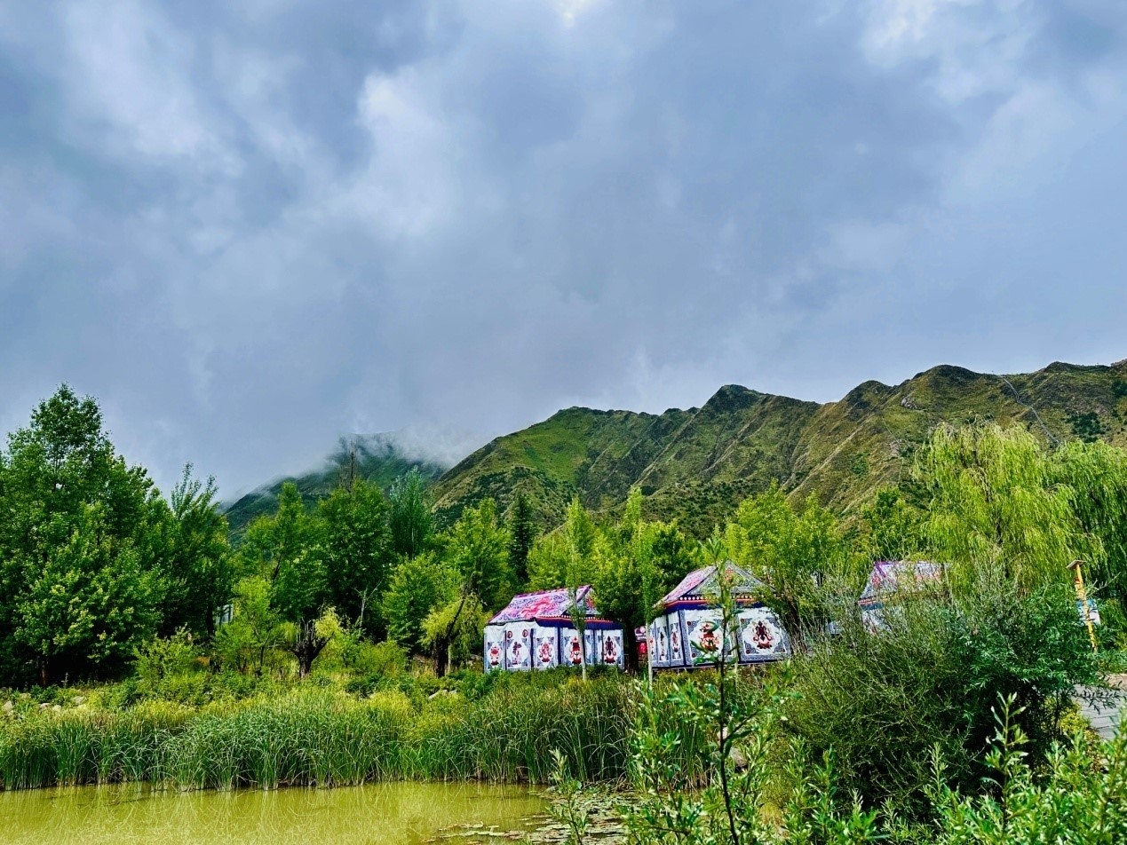 郁郁蔥蔥的南山公園。人民網(wǎng)記者 益西康珠攝